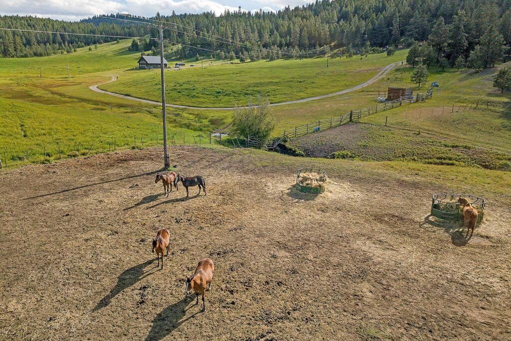 Wilderness Cabin - Eden Valley Oroville Εξωτερικό φωτογραφία